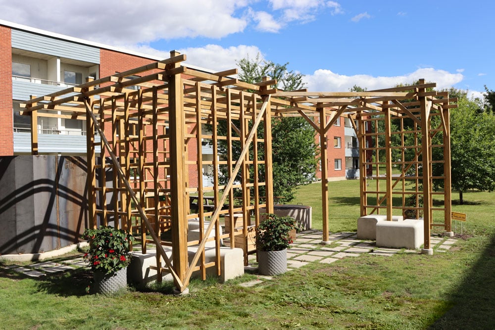Uppdrag utfört av Hallbloms i Flogsta, Uppsala – Pergola tillverkad i trä