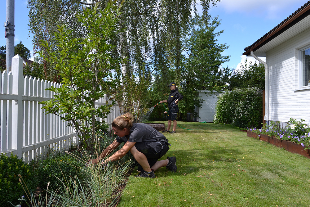 Medarbetare på Hallbloms hjälper till med trädgårdsskötsel